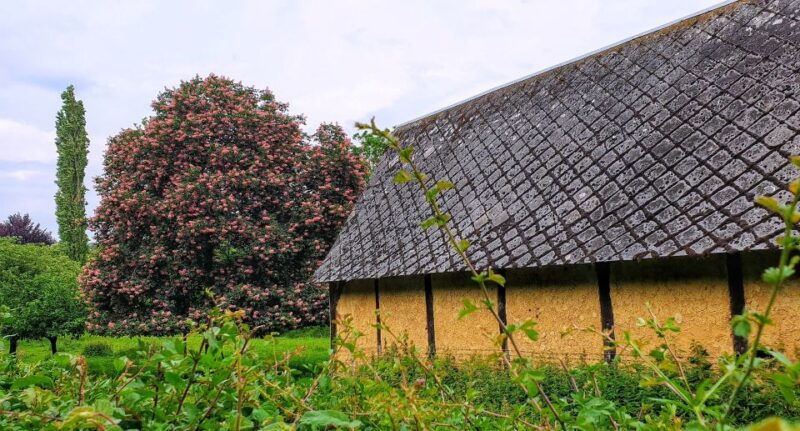 normandy-dday-beaches-private-tour-from-your-hotel-in-paris