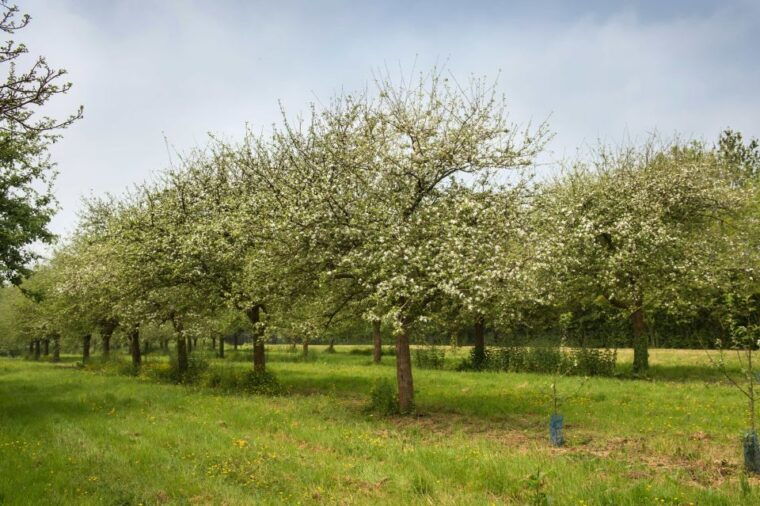 normandy-dday-beaches-private-tour-from-your-hotel-in-paris