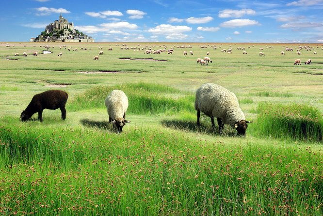 normandy-loire-valley-3-days-trip-with-mont-saint-michel-and-castles-from-paris