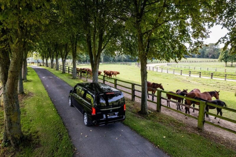normandy-pays-dauge-and-honfleur-private-tour