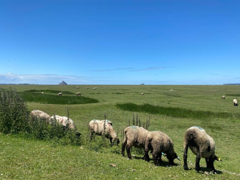 normandy-private-guided-tour-with-a-local-expert