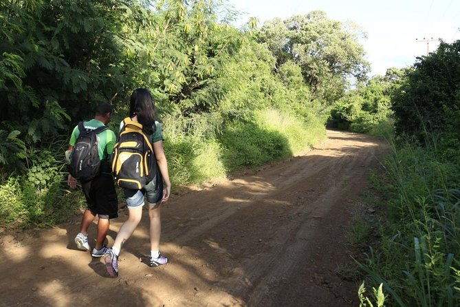 noronha-emerald-of-the-atlantic-trail