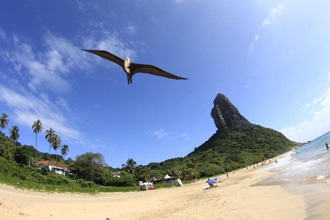 noronha-emerald-of-the-atlantic-trail