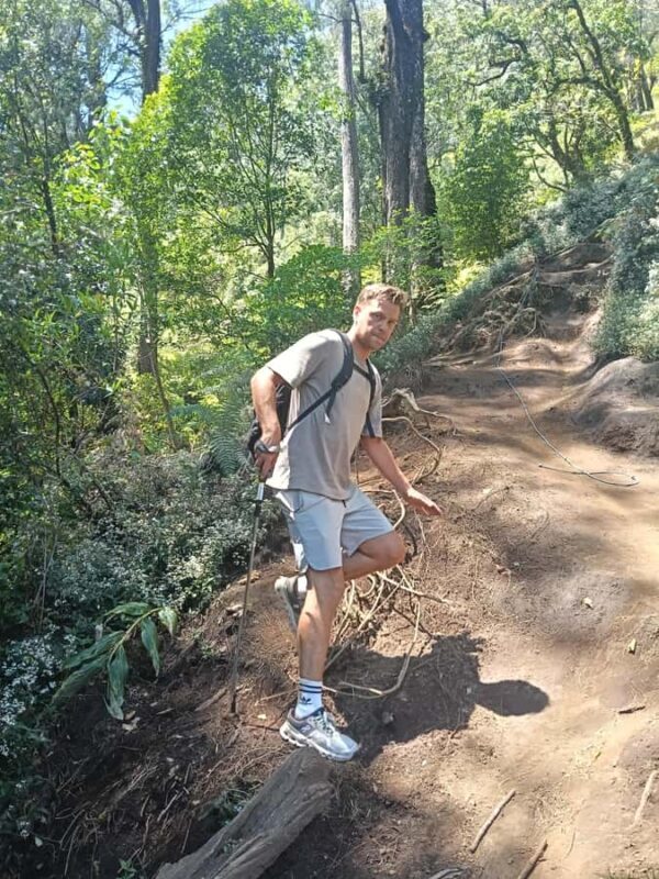 North Bali Authentic: Off-the-Beaten-Path Experience - Key Points