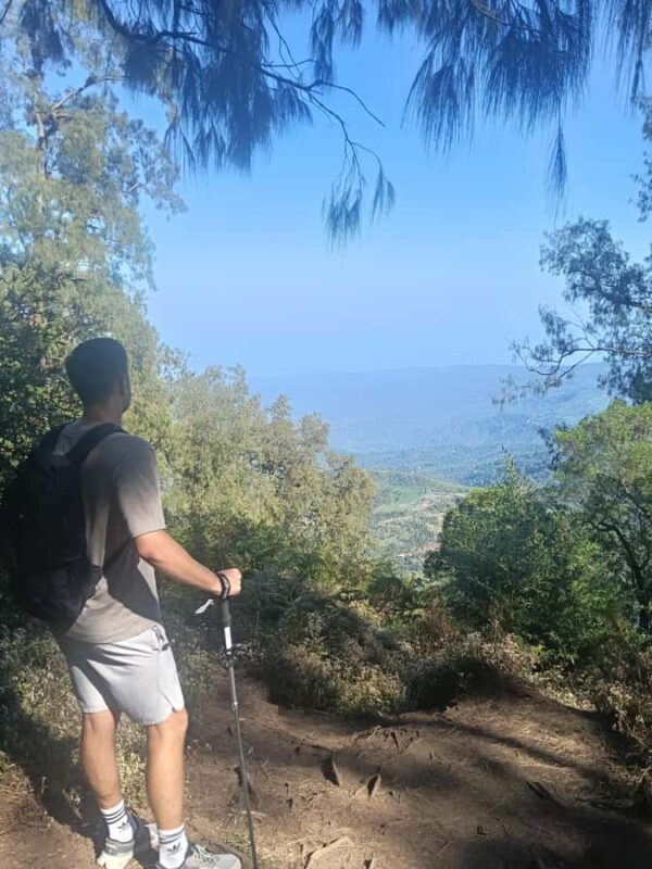 North Bali Authentic: Off-the-Beaten-Path Experience - Discovering North Bali’s Hidden Charms