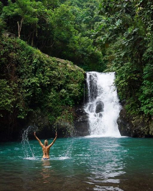 north-bali-dolphin-lovina-beach-aling-aling-waterfall