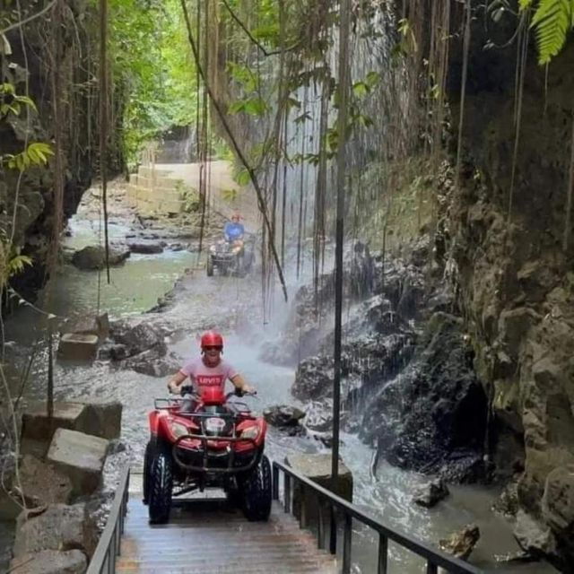 north-bali-dolphin-lovina-beach-aling-aling-waterfall
