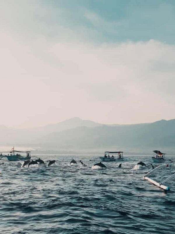North Bali: Dolphins, Munduk Waterfall, and Twin Lakes Tour - A Day in North Bali: What This Tour Offers