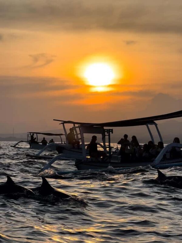 North Bali: Dolphins, Munduk Waterfall, and Twin Lakes Tour - Who Should Consider This Tour?