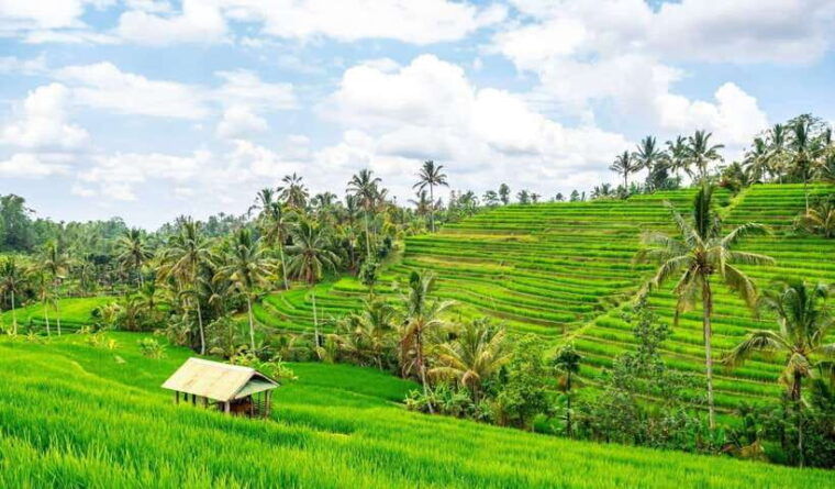 north-bali-enjoy-the-beauty-of-bratan-temple-and-jatiluwih