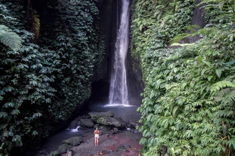 north-bali-explore-nature-and-waterfalls