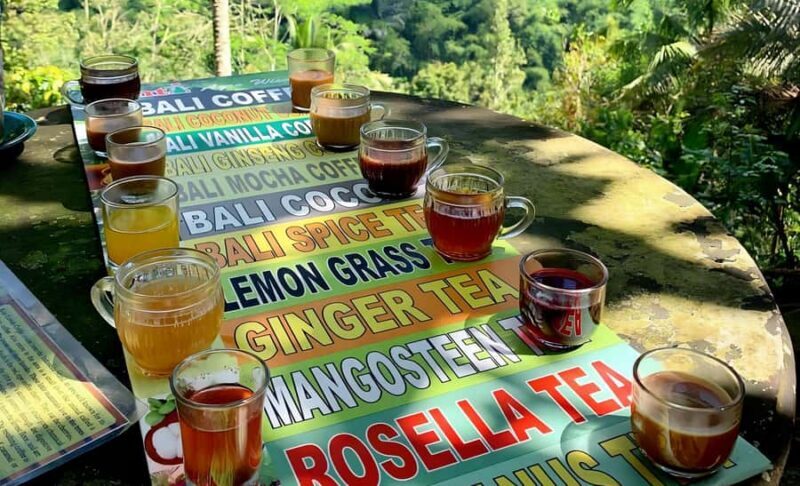 North Bali Explorer: Bayan Ancient Trees & Holy Ritual Tour - Key Points