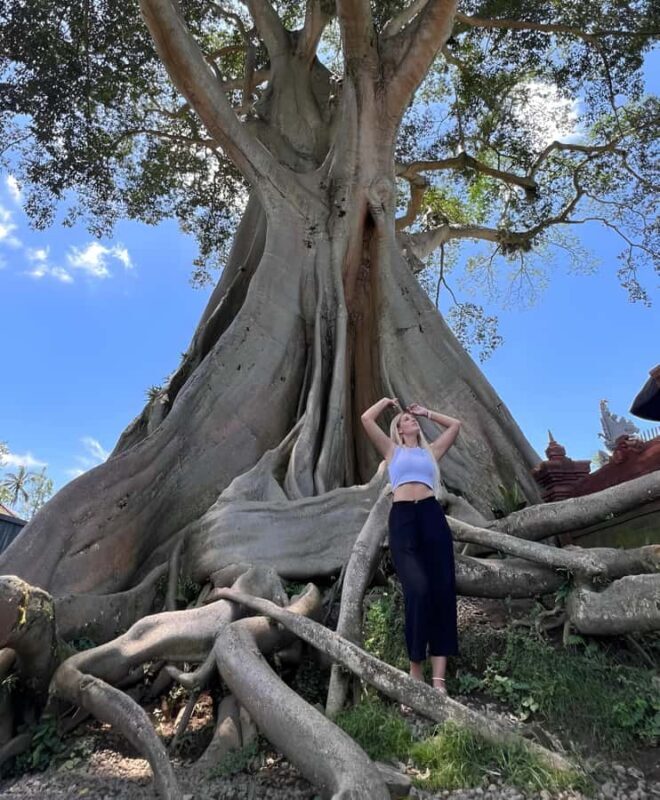 North Bali Explorer: Bayan Ancient Trees & Holy Ritual Tour - Practical Details & Value