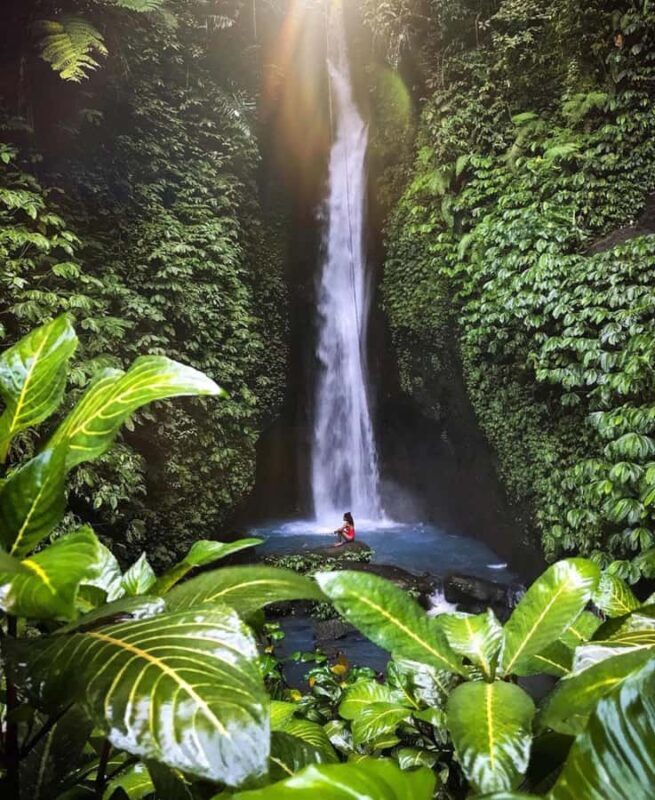 North Bali Explorer: Bayan Ancient Trees & Holy Ritual Tour - FAQ