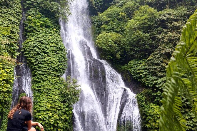 North Bali Hidden Gems Tour Ulun Danu Temple Twin Lakes Waterfall - The Itinerary Breakdown: What You’ll Experience