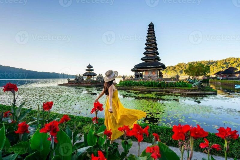 north-bali-highlight-with-waterfall-rice-terrace-temple
