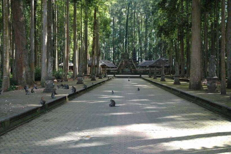 north-bali-monkey-forest-waterfall-rice-terrace-ulun-danu