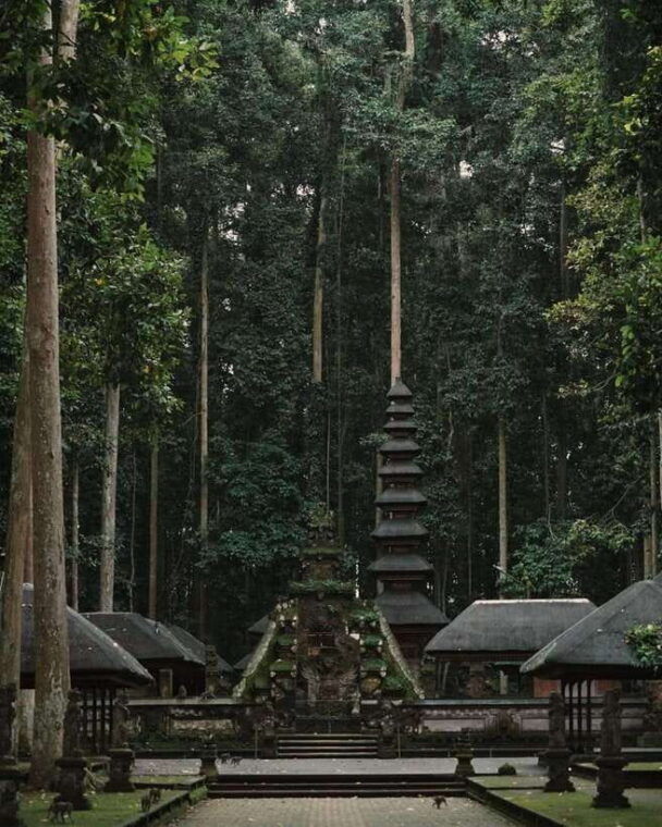 north-bali-monkey-forest-waterfall-rice-terrace-ulun-danu