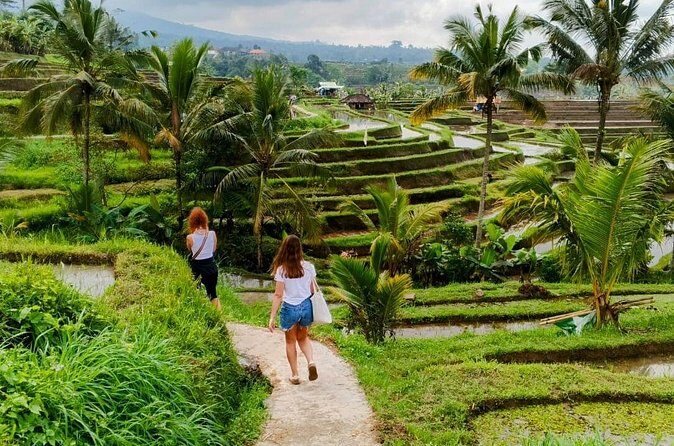 North Bali Nature and Heritage Private Tour - Final Thoughts