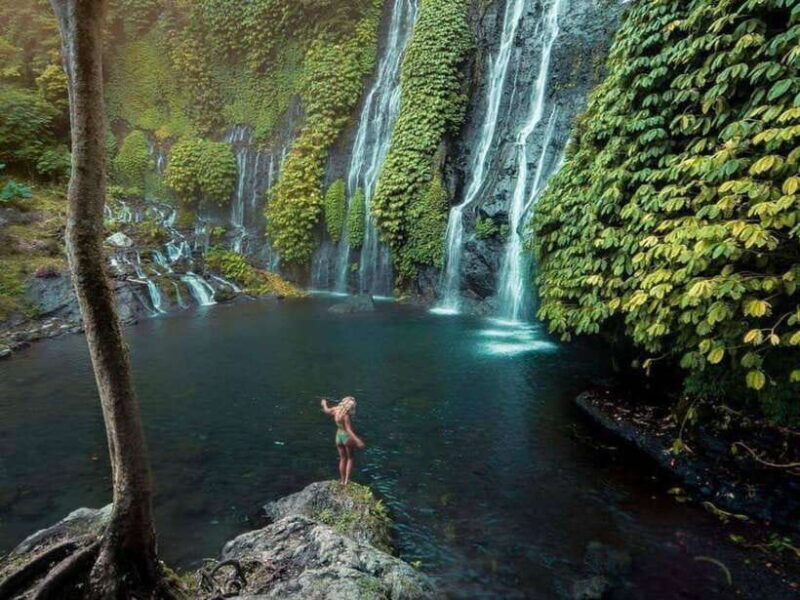 north-bali-private-day-tour-with-banyumala-waterfall