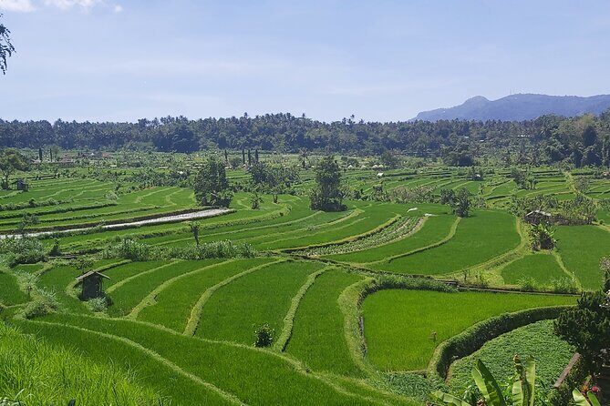 North Bali Private Tour - All Inclusive - Key Points