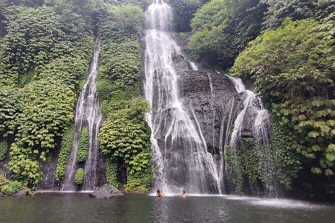 North Bali Private Tour - All Inclusive - What Makes This Tour Stand Out?