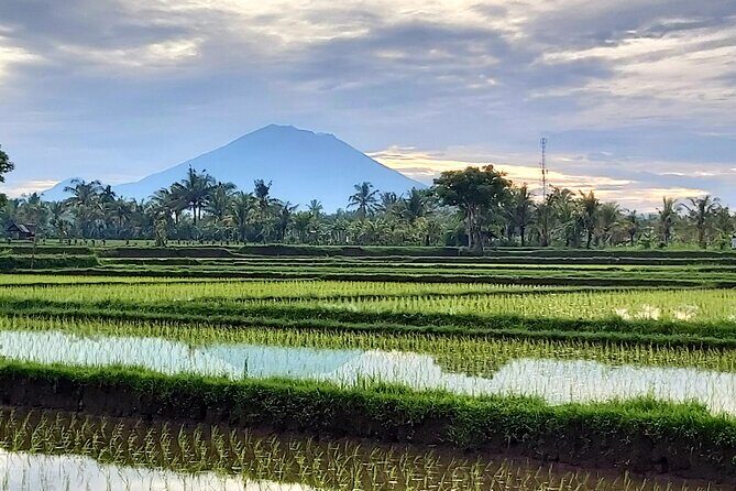 North Bali Private Tour - All Inclusive - Practical Details and Insights