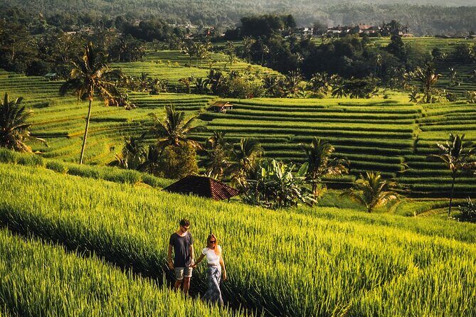 North Bali Private Trip UNESCO Site Lakes Temple and Waterfall - What the Tour Includes and What You Should Know