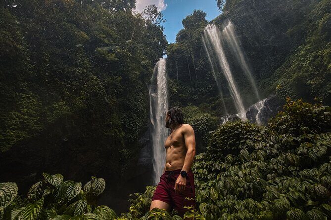 North Bali Sekumpul and Banyumala Waterfalls with Rice Terraces - Key Points