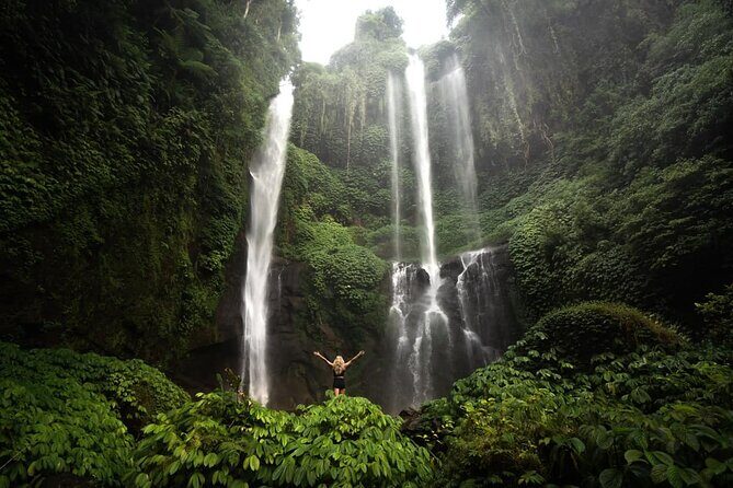 North Bali Sekumpul and Banyumala Waterfalls with Rice Terraces - A Closer Look at the Itinerary