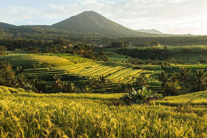 North Bali Sekumpul and Banyumala Waterfalls with Rice Terraces - Who Is This Tour Perfect For?
