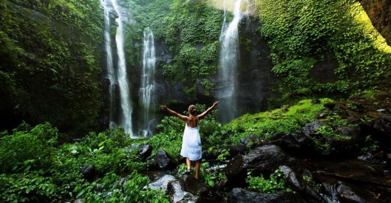 north-bali-sekumpul-waterfalls-and-ulun-danu-temple-tour