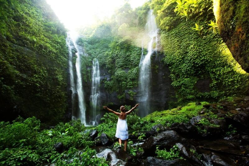 north-bali-sekumpul-waterfalls-and-ulun-danu-temple-tour