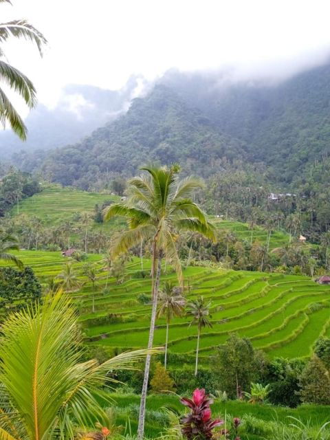 north-bali-sunrise-at-ulundanu-temple-sekumpul-waterfall