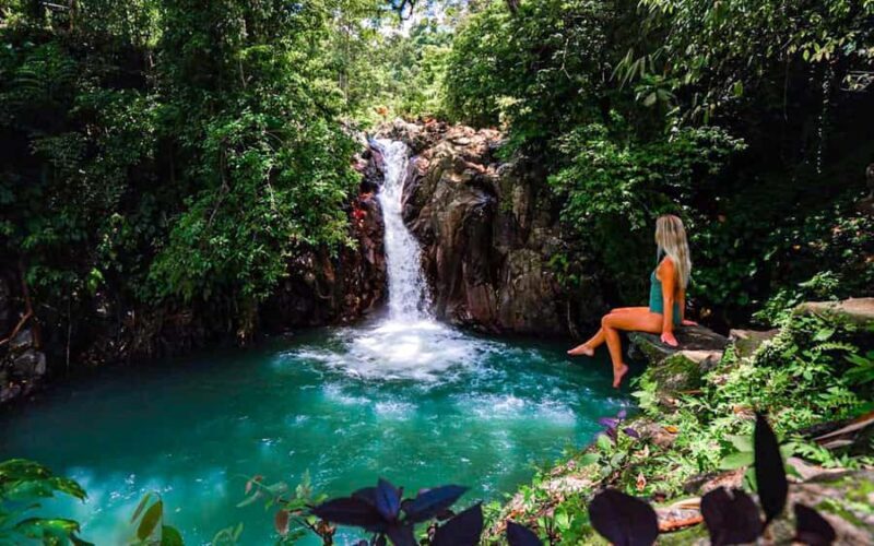 North Bali: Sunrise Dolphin Tour for Nature Lover & Explorer - Key Points