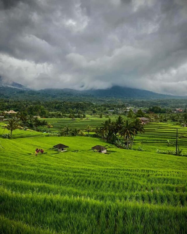 North Bali: Taman Ayun Temple, Jatiluwih, Campuhan Waterfall - The Sum Up