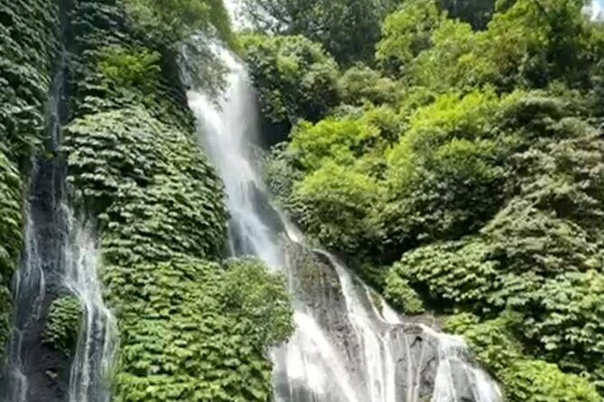 North Bali Tour - Best Scenery - Private Tour All Inclusive - Who Might Want to Consider Other Options