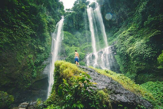 North Bali Tour with Twin Waterfalls and Temple - An In-Depth Look at the North Bali Tour