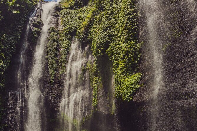 North Bali Tour with Twin Waterfalls and Temple - FAQ