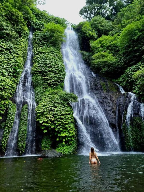 North Bali Trip with 2 Hidden Waterfalls Private Tour - North Bali Trip with 2 Hidden Waterfalls Private Tour – A Deep Dive