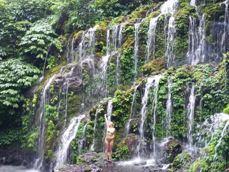 North Bali Trip with 2 Hidden Waterfalls Private Tour - Key Points