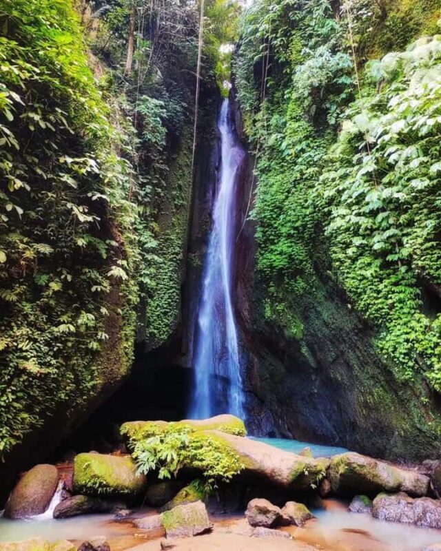 North Bali Trip with 2 Hidden Waterfalls Private Tour - The Sum Up