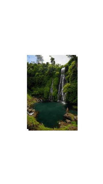 north-bali-walking-on-the-expanse-of-jati-luwih-rice-fields