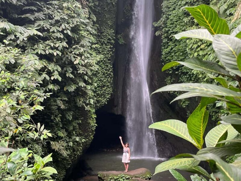 NORTH BALI WATERFALL AND TEMPLE TOUR - Wanagiri Hidden Hill: Panoramic Views and Unique Photo Spots