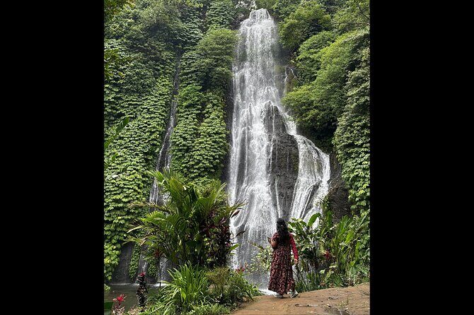 North Bali Waterfall Enthusiast Private Tour - Exploring North Bali’s Waterfalls in Detail