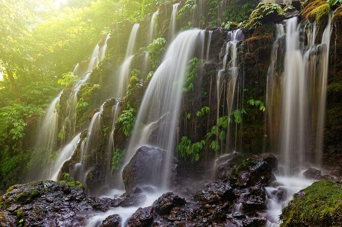 North Bali Waterfall Enthusiast Private Tour - Final Thoughts