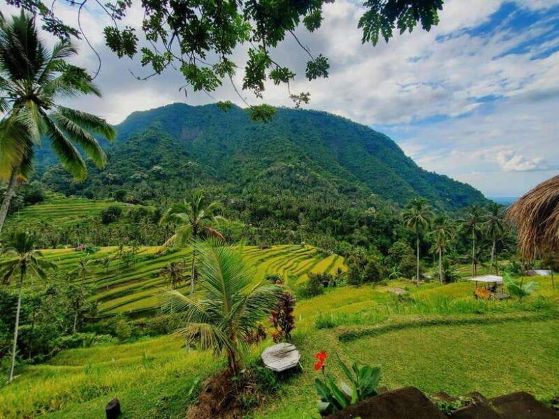 north-bali-waterfalls-and-twin-lakes-tour