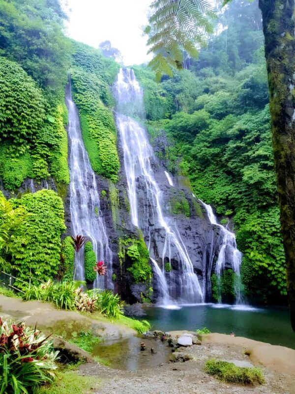 North Bali Waterfalls and Twin Lakes view Tour - A Deep Dive into the North Bali Waterfalls and Twin Lakes Tour