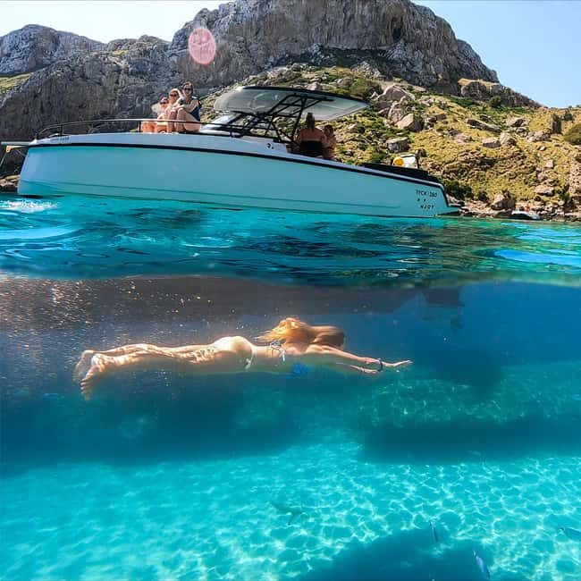 North Coast Dolphins Sunrise Adventure Tour - What You Can Expect from the Tour