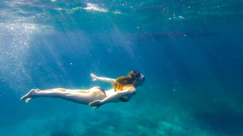 North Coast Dolphins Sunrise Adventure Tour - Why This Tour Fits Certain Travelers Best